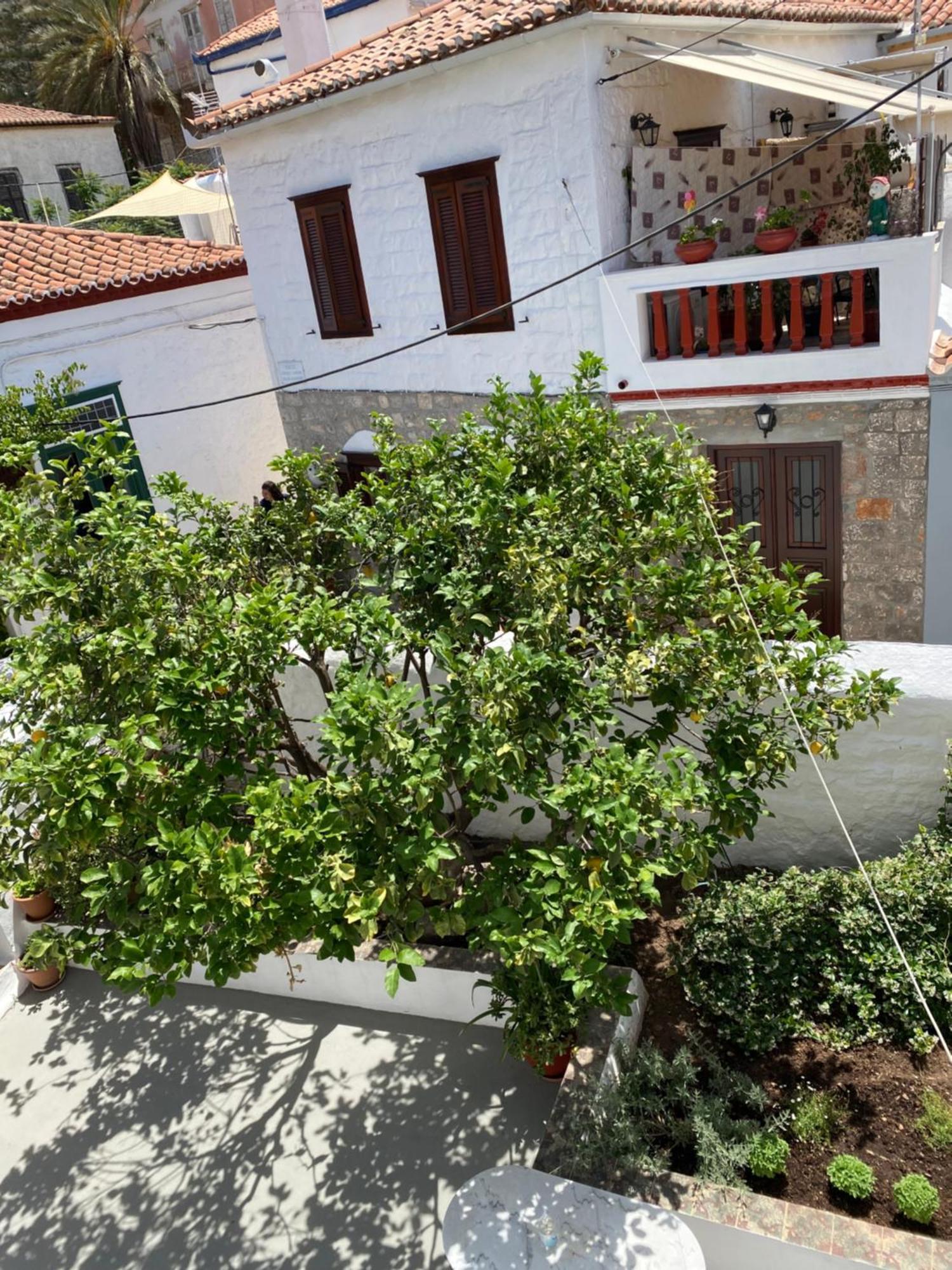 Douskos Uptown Living Hotel Hydra  Bagian luar foto